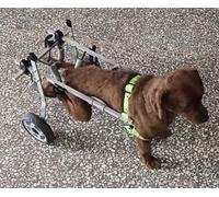 Fauteuil roulant pour chien - Déambulateur à 2 roues pour petits animaux de compagnie, soutien de la hanche et des jambes, mouvement léger pour chiots et chatons