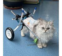 Fauteuil roulant pour chien et chat - Chariot léger à 2 roues pour animaux paralysés, harnais durable inclus, idéal pour une utilisation en intérieur