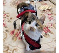 Fauteuil Roulant pour Chien et Chat, Chariot pour Pattes arrière, Aide à la mobilité pour Petits Chiens, Chariot pour Chaton blessé/handicapé, Restauration de la mobilité (Taille L)