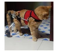 Fauteuil Roulant pour Chien, Fauteuil Roulant for Chat avec Jambes arrière paralysées, Fauteuil Roulant léger for Chien et Chat, Roues d'exercice for Chat for Aide à la rééducation(Small)