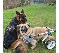 Fauteuil Roulant pour Chien Fauteuil Roulant pour Chien de Taille Moyenne, Chariot de Harnais de Soutien à la mobilité pour Chien handicapé réglable, Outils de Support de Roulement de Roue d