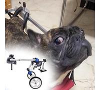Fauteuil roulant pour chien, fauteuil roulant pour petits animaux de compagnie, accessoires de poussette pour chiens handicapés/âgés pour les pattes arrière, récupérer la mobilité, chariot p