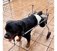 Fauteuil roulant pour chien Grand fauteuil roulant pour pattes arrière, chariot de rééducation pliable et confortable pour animaux de compagnie, aide les pattes de chien à récupérer la mobil