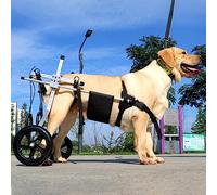 Fauteuil roulant pour chien handicapé moyen/grand chien, chariot de rééducation pour chiens âgés, aide aux petits animaux de compagnie, marcheur pour le soutien des pattes arrière (taille :