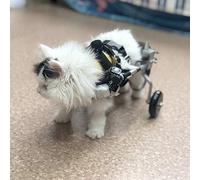 Fauteuil Roulant pour Chien pour Animaux de Compagnie, Chariot Réglable À Deux Roues pour Petit Chien Ultraléger, Adapté Aux Animaux Handicapés Paralysés