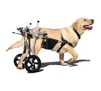 Fauteuil Roulant pour Chien, pour Handicapés Chien Rééducation Des Pattes Postérieures Marche Assistée Réglable 2 Roues Chariot pour Chien