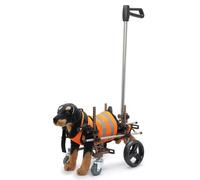 Fauteuil roulant pour chien pour la réadaptation, chariot réglable à quatre roues pour les animaux paralysés, support de jambe avant et arrière, aide à la marche assistée pour chiens