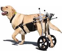 Fauteuil roulant pour chien pour la rééducation des pattes postérieures, chien handicapé animal de compagnie/chien Doggy Cat Back Legs Assisted Walk Car Léger 2 roues réglable pour 15 à 60 kg Pet (AL