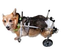 Fauteuil roulant pour chien pour pattes arrière - Chariot de mobilité à 4 roues avec support de jambe - Poussette de rééducation en métal pour petits animaux de compagnie (taille S) - Améliore la