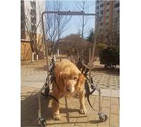 Fauteuil roulant pour chien, soutien complet, aide à la rééducation des pattes arrière pour grands et vieux chiens
