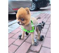 Fauteuil roulant pour chien - Support complet - Chariot léger à 4 roues pour chiens et chats de petite et moyenne taille, harnais réglable pour la rééducation et l'exercice des animaux