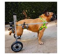 Fauteuil roulant pour chien, Voiture de marche assistée par animaux de compagnie à 2 roues for le soutien des hanches, chariot de marche for aides à la mobilité des chiens de petite, moyenne et grande