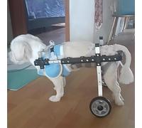 Fauteuil roulant pour chiens Chariot de rééducation for chien, dispositif d'assistance for animaux compagnie, poussette à 2 roues for chiens et chats, voiture la mobilité for handicapés(XS)
