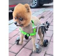 Fauteuil roulant pour chiens de petite et moyenne taille, chariot de soutien réglable pour une meilleure mobilité pour les chiens handicapés actifs