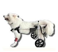 Fauteuil roulant pour chiens handicapés - Chariot à mobilité réglable pour chiens et chats de taille moyenne, support de pattes arrière en métal pour une mobilité limitée