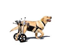 Fauteuil roulant pour pattes arrière - Chariot de mobilité pour chiens de taille moyenne à XL, déambulateur réglable pour la mobilité des pattes arrière et la rééducation