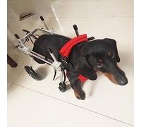 Fauteuil roulant pour petit chien, fauteuil roulant pour pattes arrière, protection des outils de support roulant de la roue thoracique, chats/chiens/chiots, chariot de rééducation pour anim