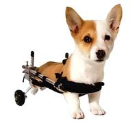 Fauteuil roulant pour petits animaux de compagnie, aide au levage pour fauteuil roulant, accessoires de poussette pour chien handicapé, chariot pliable et léger à 2 roues en aluminium pour p
