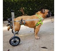 Fauteuil roulant pour petits animaux de compagnie - Chariot d'aide à la mobilité réglable pour pattes arrière, convient pour les chiens shih tzu et moyens, utilisation en extérieur pour chiens blessés