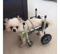 Fauteuil roulant pour petits animaux handicapés - Aide à la mobilité réglable à 4 roues avec support de hanche pour une promenade facile