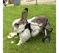 Fauteuil roulant réglable à 2 roues pour chien, chat et lapins - Aide à la rééducation pour handicap et récupération de blessures