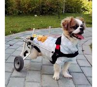 Fauteuil roulant réglable à 2 roues pour chiens de petite taille avec patte arrière Aide à l'assemblage facile Parfait pour les chiens (taille XS)