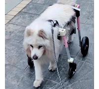 Fauteuil Roulant réglable à 4 Roues pour Chien et Option 2 Roues, genouillère de Soutien pour Chiens handicapés, Tailles XL à XXL, Aide à la mobilité complète pour Les faiblesses des Pattes