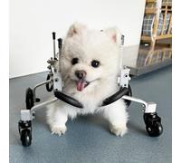 Fauteuil Roulant réglable à 4 Roues pour Chiens Toutes Races - Aide à la mobilité complète pour Chiens handicapés, Taille XS, idéal pour Les Petits, Moyens et Grands Animaux