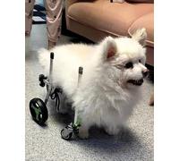 Fauteuil roulant réglable et léger en aluminium pour chiens et chats de petite, moyenne et grande taille, soutien idéal pour toutes les jambes, genouillère, aide à la mobilité