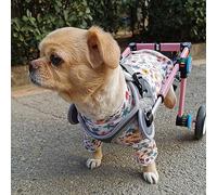 Fauteuil roulant réglable pliable pour chien pour pattes arrière, chariot de rééducation portable pour animal domestique pour intérieur et extérieur