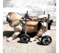 Fauteuil roulant réglable pour animal de compagnie - Chariot léger en aluminium pour chiens blessés de 5,5 à 10 kg avec support de hanche et de jambe
