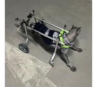 Fauteuil roulant réglable pour animal de compagnie - Chariot léger en aluminium pour chiens blessés de 5,5 à 10 kg avec support de hanche et de jambe