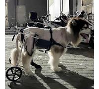 Fauteuil roulant réglable pour chien à deux roues - Chariot tout-terrain pour chiens de taille moyenne à XXX-Large, chariot de rééducation pour animaux handicapés pour le soutien et la mobil