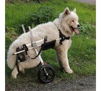 Fauteuil roulant réglable pour chien avec pattes arrière pliable pour petits animaux de compagnie souffrant de paralysie aide à restaurer la mobilité des chiens et chats handicapés