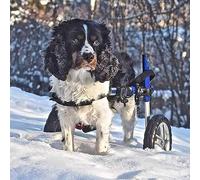 Fauteuil roulant réglable pour chien, hauteur : 10,6"-17,7", largeur 5,1-10,2" Poids 19,8 à 35,2 lb, aide à la rééducation des pattes postérieures pour chien/chat/animal de compagn