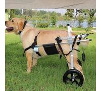 Fauteuil roulant réglable pour chien pour blessures à la jambe arrière - Support léger pour pattes arrières paralysées - Taille moyenne - Aide à la rééducation pour chiens handicapés