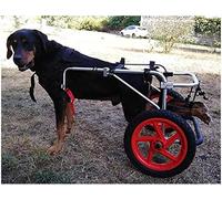 Fauteuil roulant réglable pour chien pour pattes arrière pour petit/moyen/grand chien handicapé Voiture de marche assistée pour pattes arrière de 15~50 cm Petit chat chien handicapé Chiot