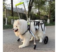 Fauteuil roulant réglable pour chien pour un soutien complet, aide à la mobilité pour chiens handicapés de pattes avant ou arrière, améliore le mouvement et le confort