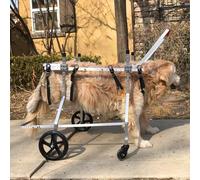 Fauteuil roulant réglable pour chien pour un soutien complet, aide à la mobilité pour chiens handicapés de pattes avant ou arrière, améliore le mouvement et le confort