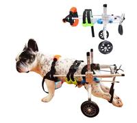 Fauteuil roulant réglable pour chiens de petite taille - Support de jambe arrière avec roues - Tailles XXS/XS/S/M/L - Aide à la mobilité colorée pour les chiens à retrouver leur indépendance