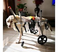 Fauteuil Roulant réglable pour Chiens de Petites, Moyennes et Grandes Races - Aide à la mobilité à 4 Roues, idéal pour Les Animaux handicapés, Taille XL