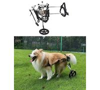 Fauteuil roulant réglable pour chiens de taille moyenne et grande avec handicap de la patte arrière
