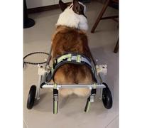 Fauteuil roulant réglable pour grands animaux - Chariot à deux roues en aluminium, support pour les pattes arrières, en cas de handicap, de paralysie, de blessure ou de faiblesse des membres