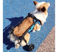 Fauteuil Roulant réglable pour Pattes arrières - Chariot léger pour Chiens handicapés, Aide à la mobilité pour la récupération et la rééducation après Une blessure (Petit Format)