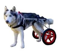 Fauteuil roulant universel pour chien avec soutien complet et 2 roues, poussette arrière réglable, idéal pour les animaux blessés