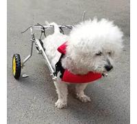 Fauteuil roulant XXL pour chien - Léger et réglable - 2 roues - Pour faiblesse des membres arrière - Aide à la récupération - Poussette à mobilité améliorée pour chiens - Parfait pour la marche