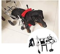Fauteuils roulants pour animaux de compagnie à 4 roues pour vieux chien, chat, lapin, scooter, fauteuil roulant réglable pour chiens de petite et moyenne taille, chariot pour chien, S