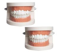Faux Dentier Modèle,Modèle de Démonstration Dentaire,2 Pcs Modèle Dentaire