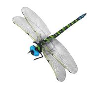 Faux Jouet Insecte - Ensemble De Modèles Animaux 3D, Outil d'apprentissage Éducatif, Pièce D'exposition Extérieure | Aide À L'apprentissage Réaliste De La Nature, Modèle D'étude des Insectes