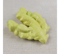 Faux légumes en polyuréthane pour décorations sur le thème de la récolte et accessoires de photographie, ajoute de la fraîcheur à n'importe quel affichage (3)